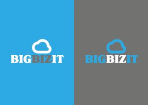BigBizIT rebrand logo options