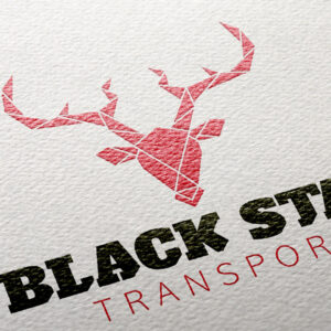 Black Stag Transport logo